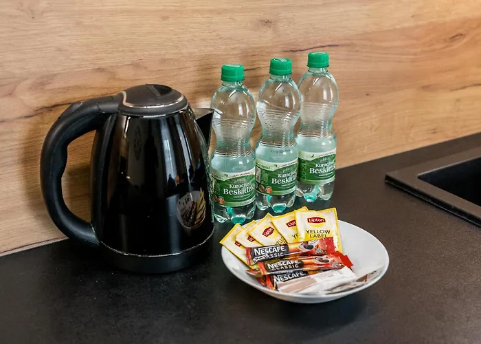 Apartment Uminskiego Spacious By Bookinghost Poznan